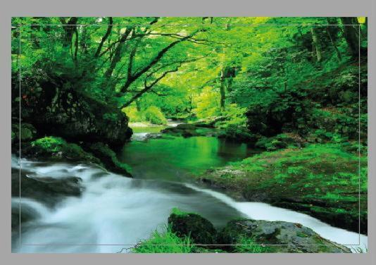 El Bosque Encantado Pensión *
